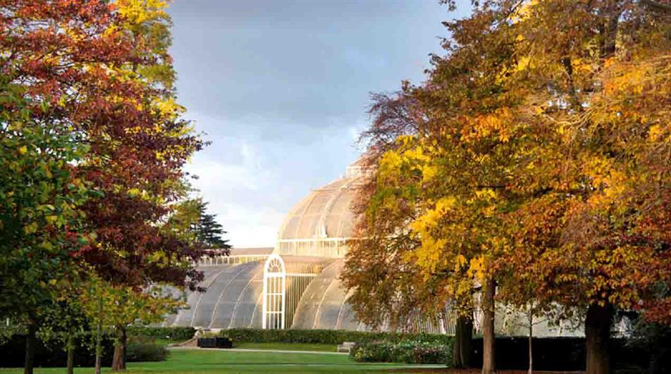 Autumn at Kew